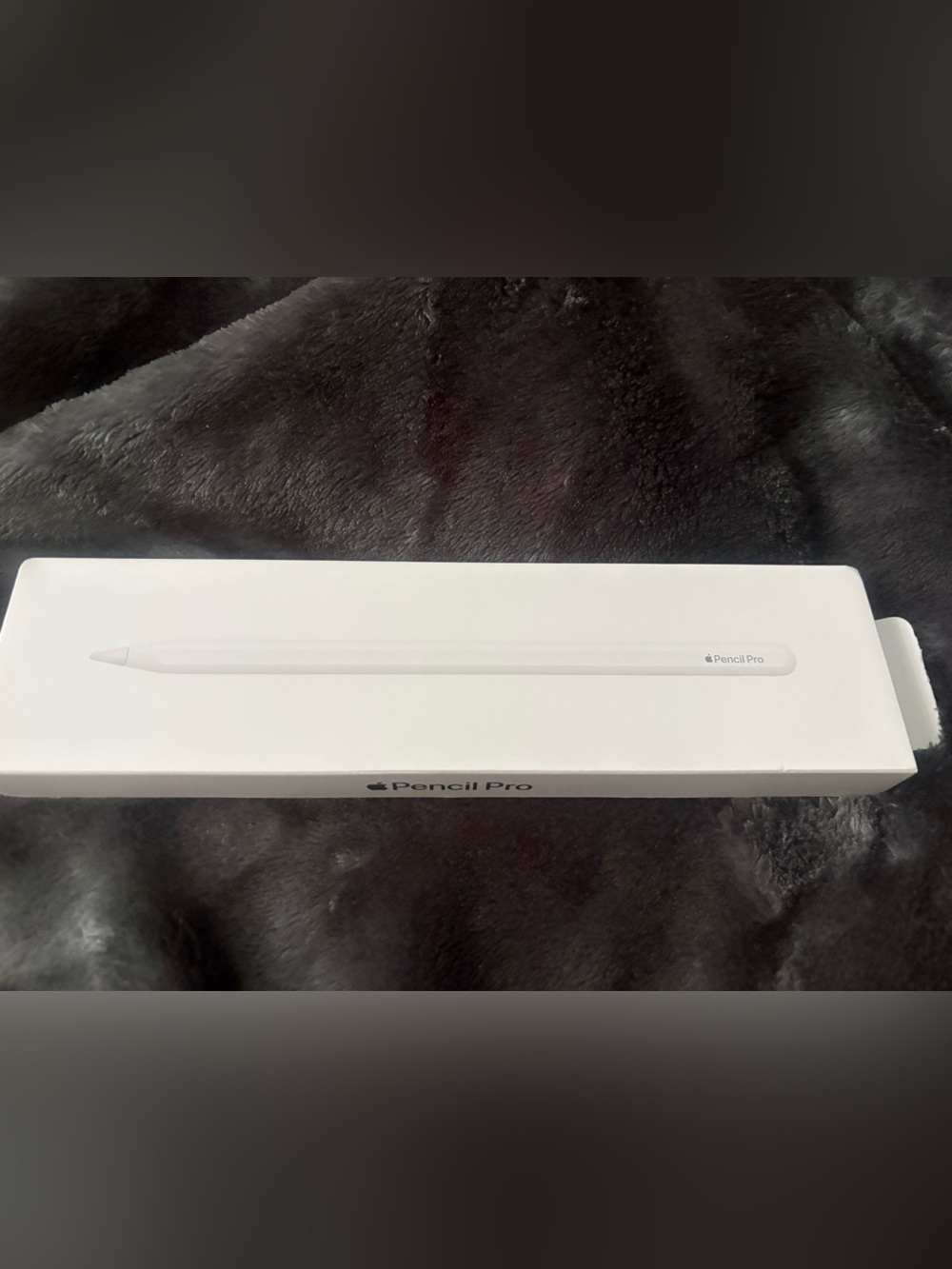 Apple Pencil Pro